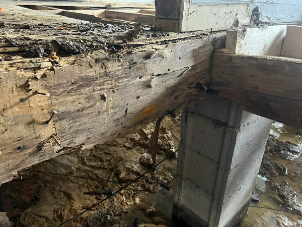 Wood rot on a crawl space beam that needs framing repair.