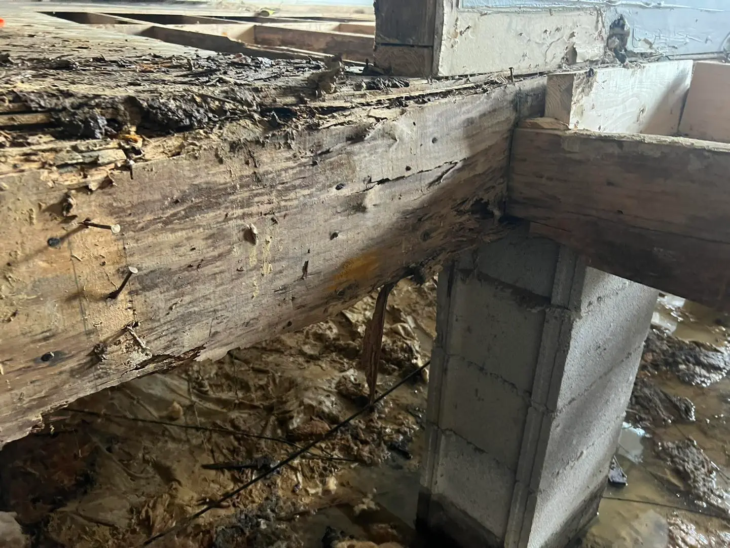Severe wood rot on a crawl space beam with standing water and dirt below, indicating significant moisture damage.
