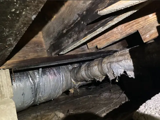 Mold and water damage on wooden beams in a musty crawl space.