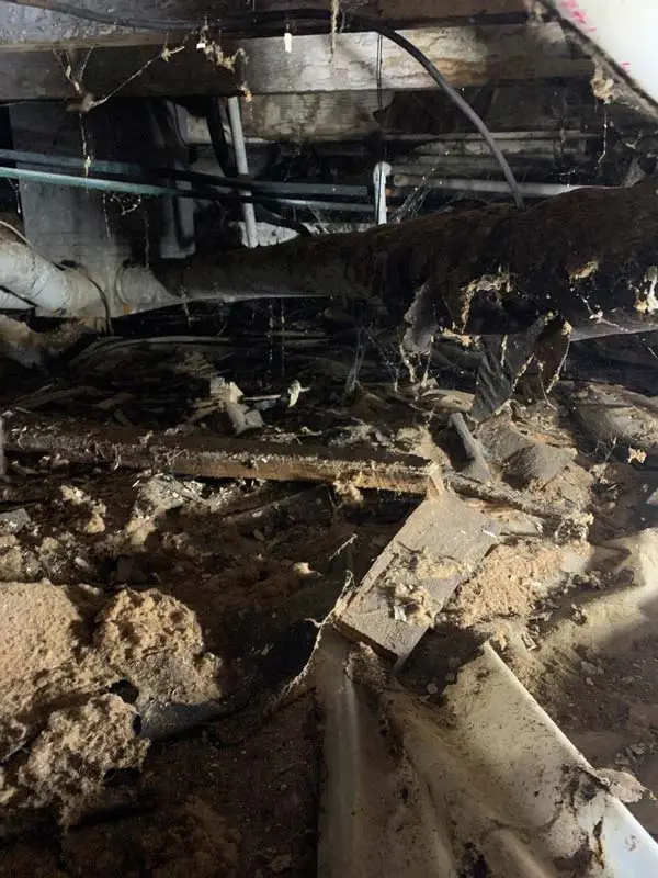 Ground Up Foundation Repair, Waterproofing and Concrete Leveling inspecting severe deteriorating insulation and moisture