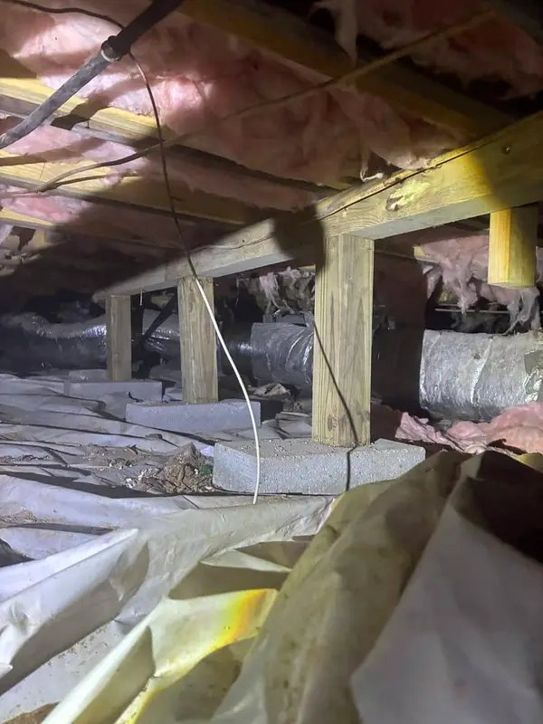 Ground Up Foundation Repair, Waterproofing and Concrete Leveling inspecting deteriorating insulation and structural supports