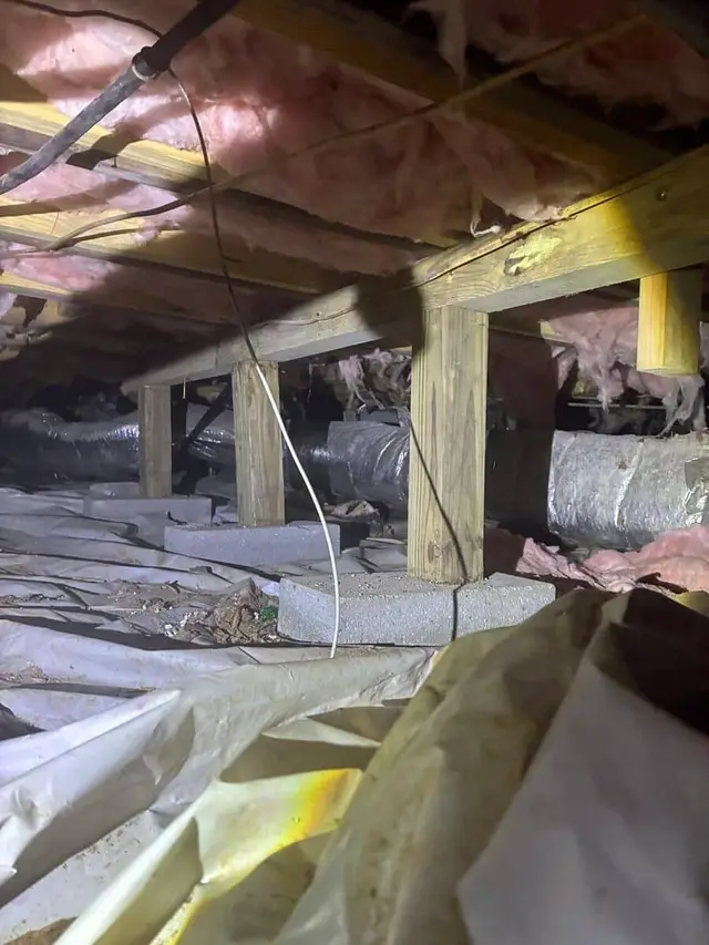 Ground Up Foundation Repair, Waterproofing and Concrete Leveling inspecting deteriorating insulation and structural supports