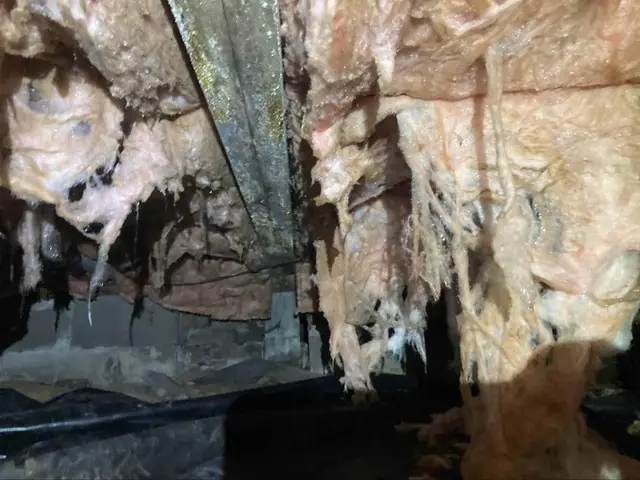 Ground Up Foundation Repair, Waterproofing and Concrete Leveling inspecting severe deteriorating insulation and mold