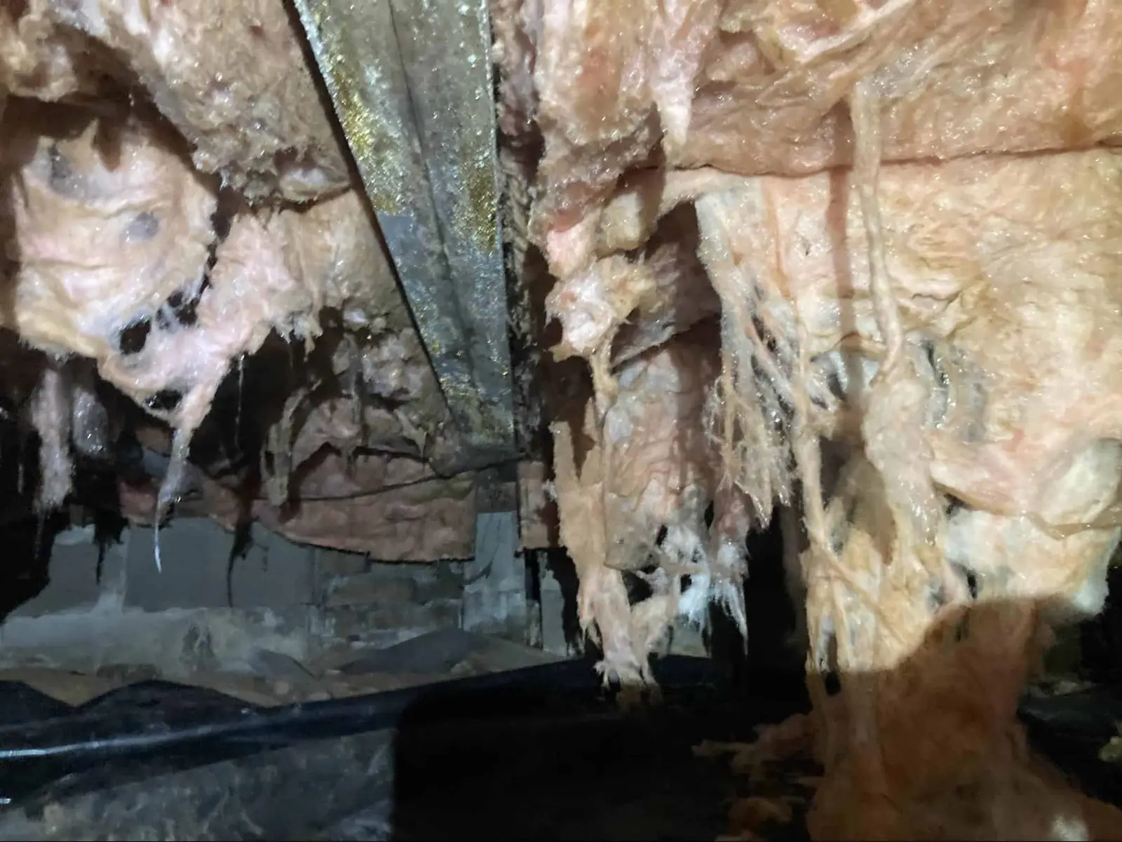 Ground Up Foundation Repair, Waterproofing and Concrete Leveling inspecting severe deteriorating insulation and mold