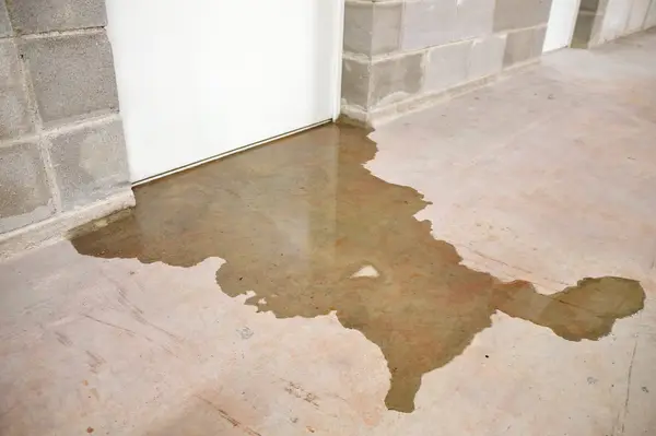 Water pooling on a concrete basement floor next to a wet wall.