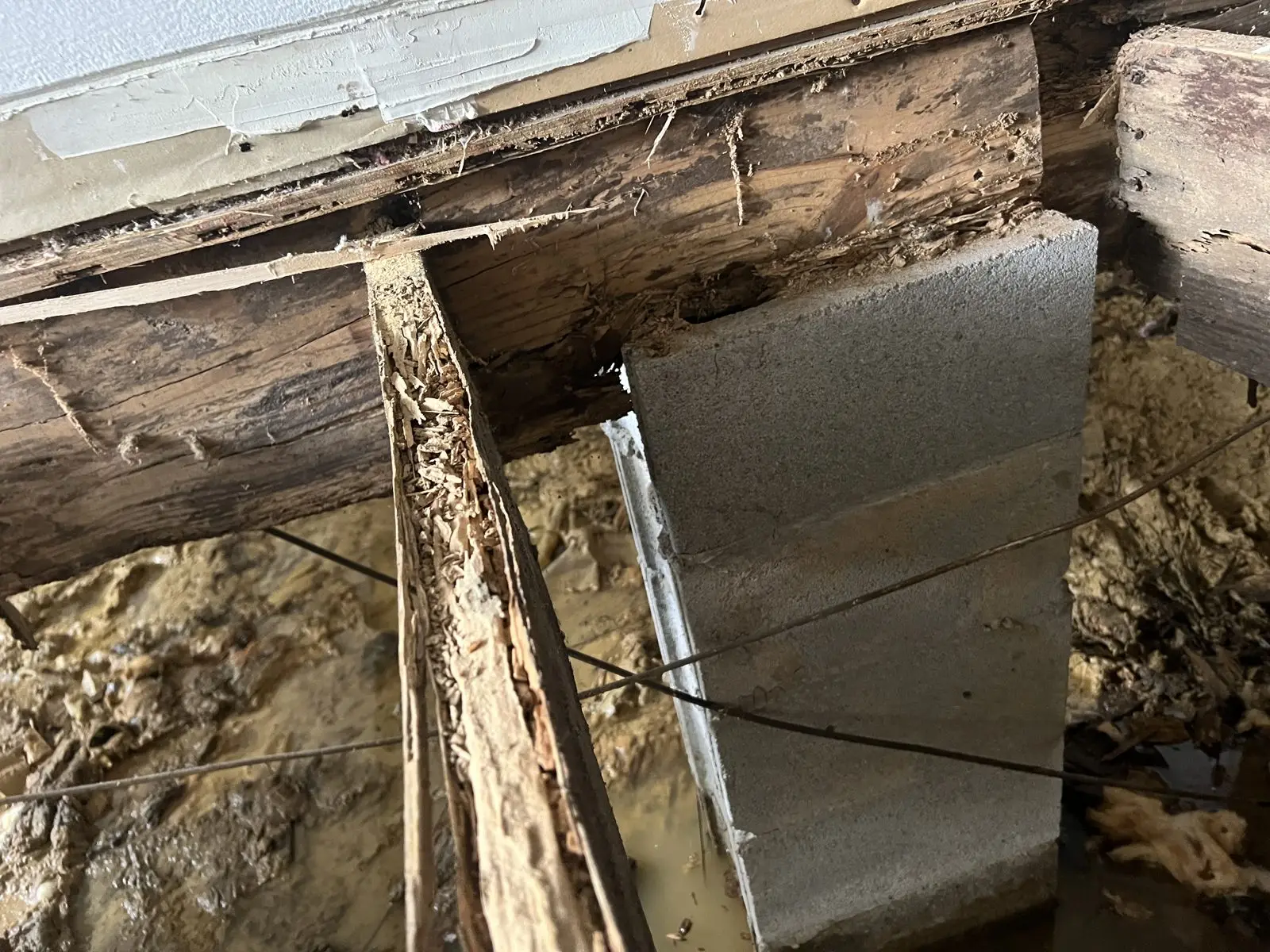 Ground Up Foundation Repair, Waterproofing and Concrete Leveling inspecting severe rotted floor joists in a damp crawl space.