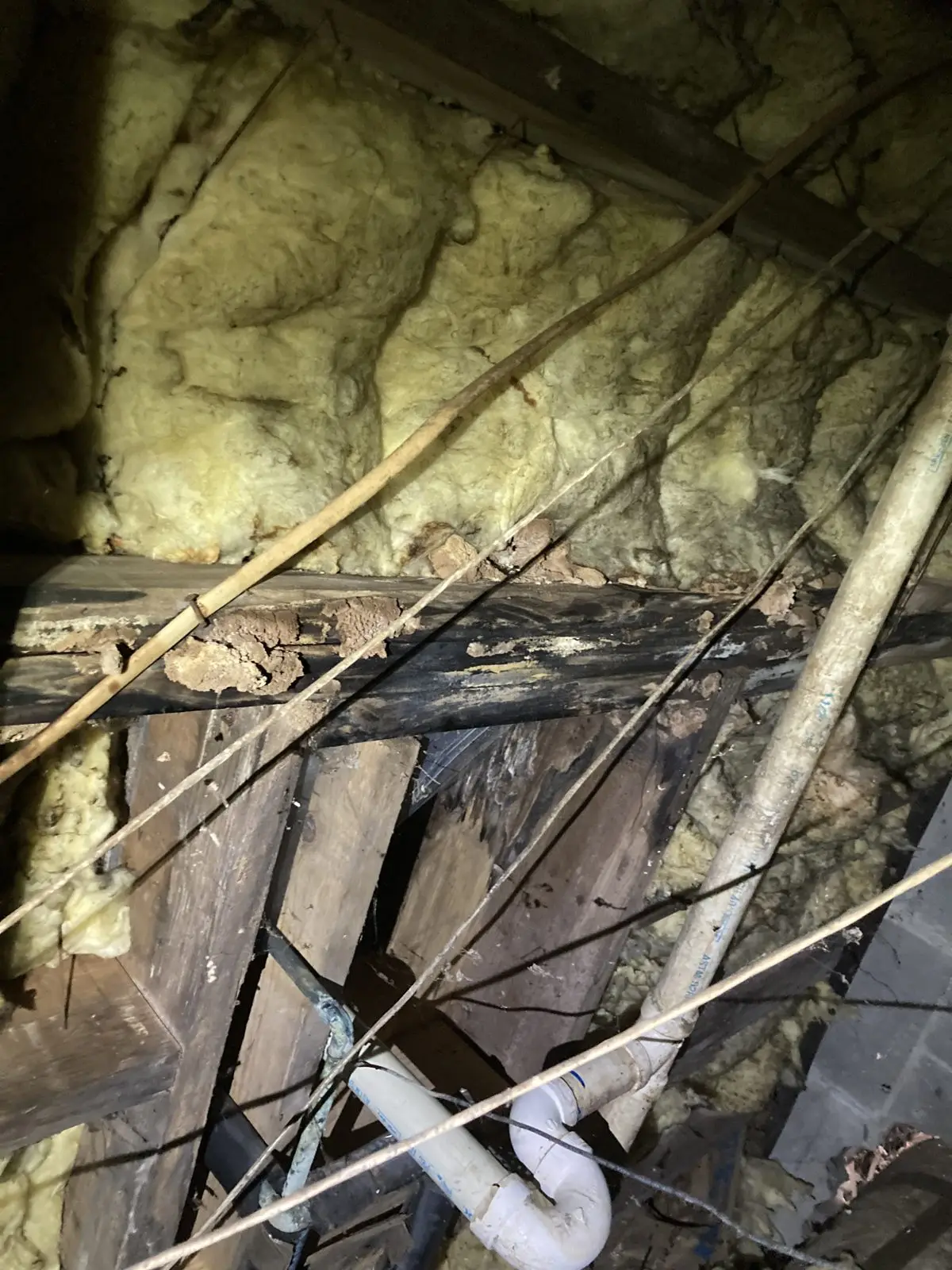 Ground Up Foundation Repair, Waterproofing and Concrete Leveling inspecting severe termite damage and wood rot in a crawl