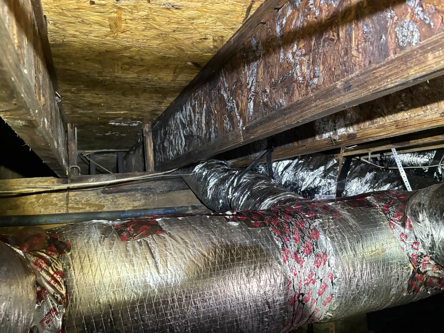 Ground Up Foundation Repair, Waterproofing and Concrete Leveling inspecting significant mold growth on crawl space joists.